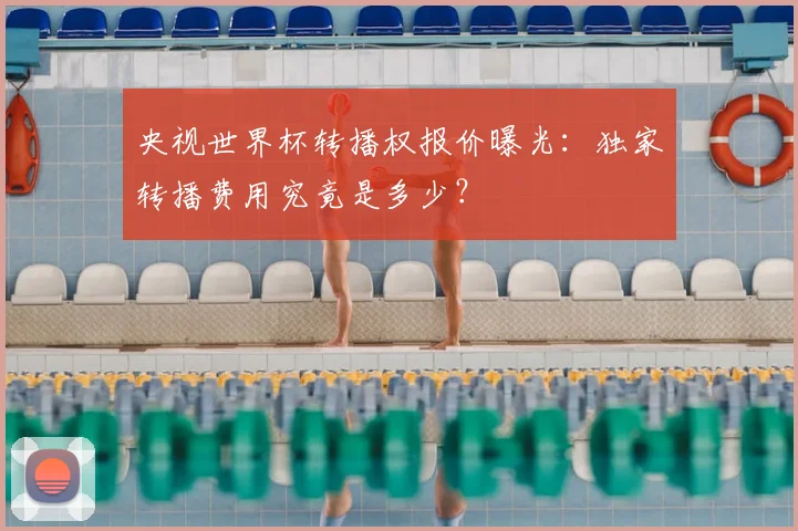 央视世界杯转播权报价曝光:独家转播费用究竟是多少?