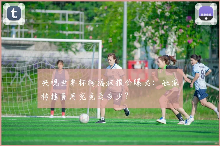 央视世界杯转播权报价曝光：独家转播费用究竟是多少？
